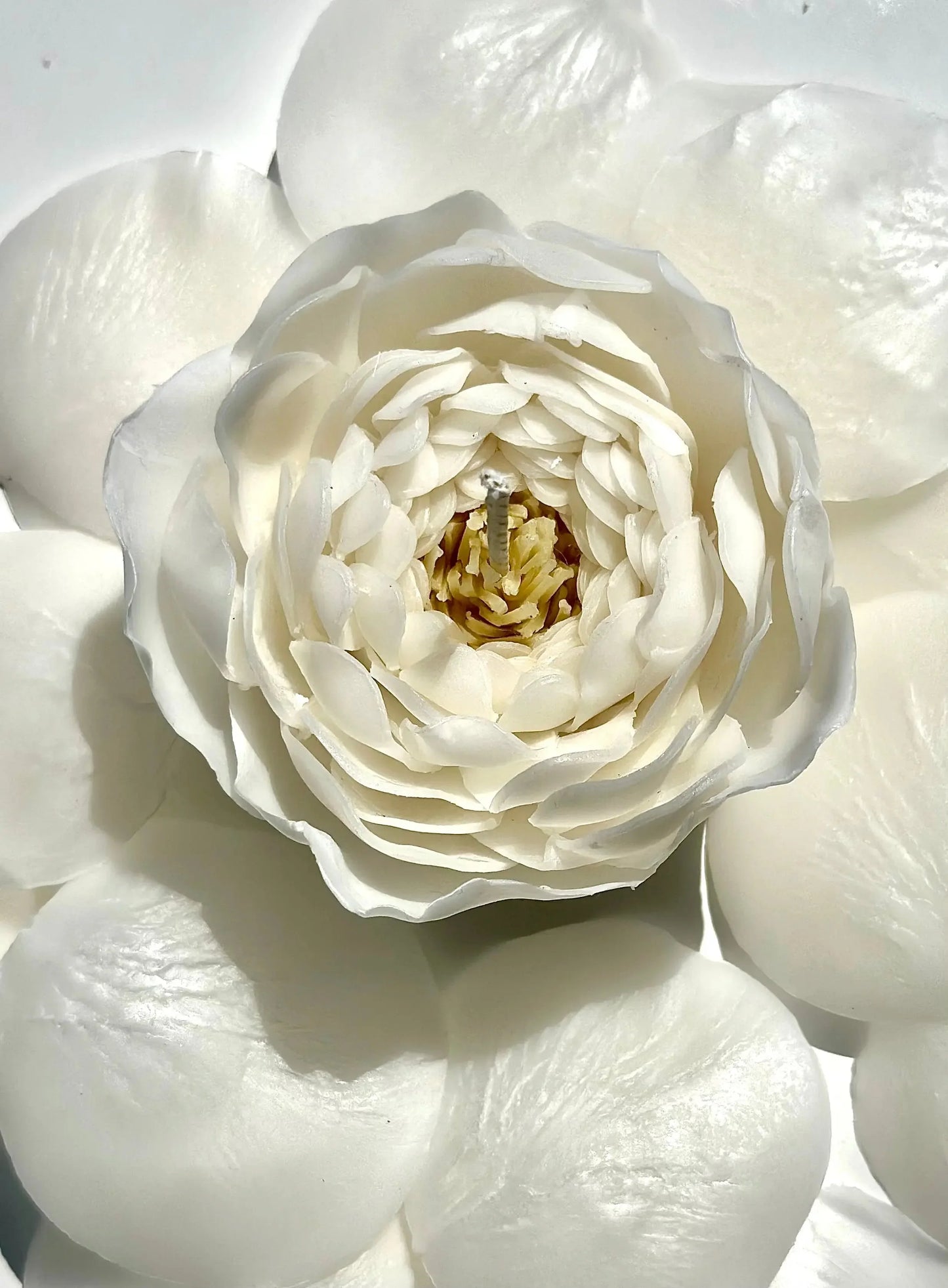 Bougie Pivoine White - Parfum Freesia PIVONIA