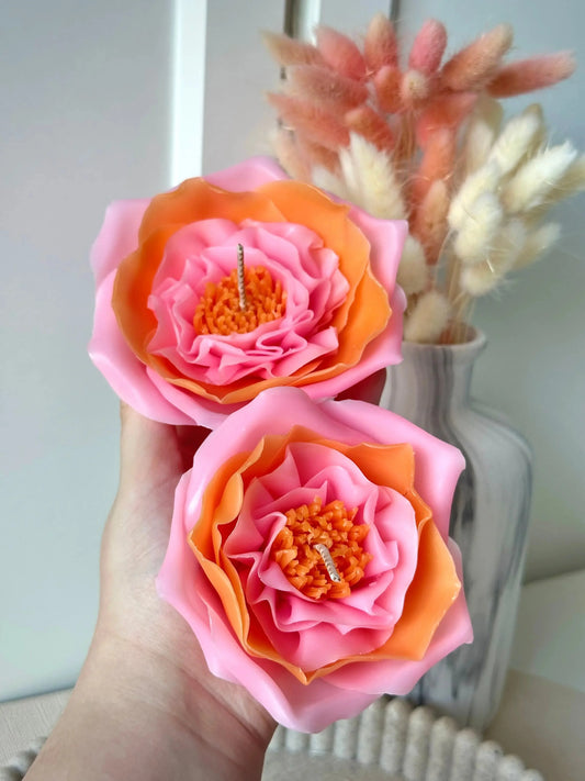 Bougie Rose Sunset, PIVONIA