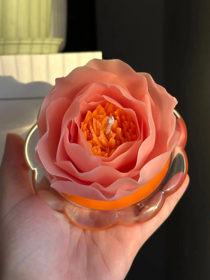 Découvrez la Bougie Pivoine Coral de Pivonia, façonnée à la main en cire d’abeille pure et parfumée à la framboise. Un design floral unique pour une ambiance élégante et naturelle.