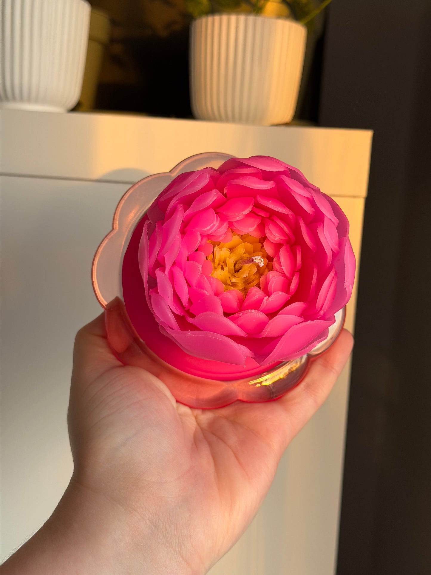 Pivoine Lumée rose PIVONIA