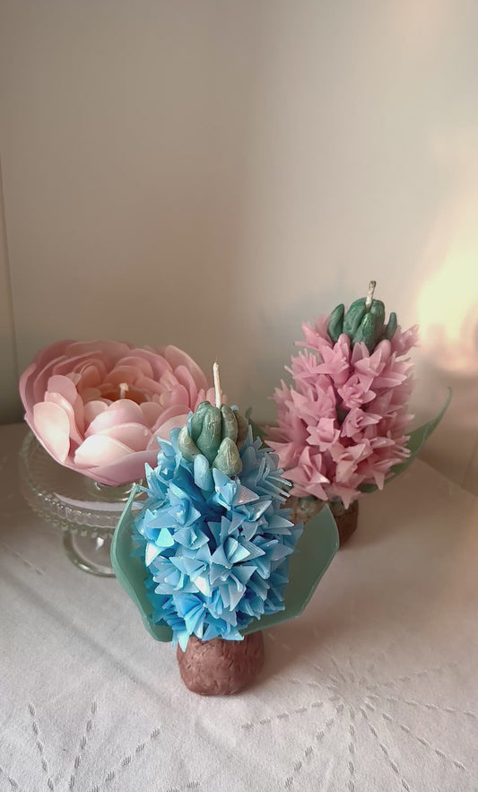 Bougie Jacinthe rose - Parfum monoï